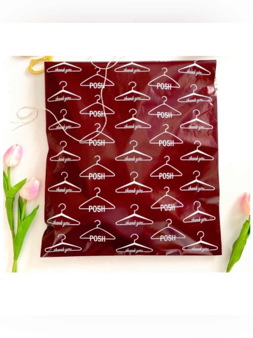 Posh Polymailers (set of 10) 🆕